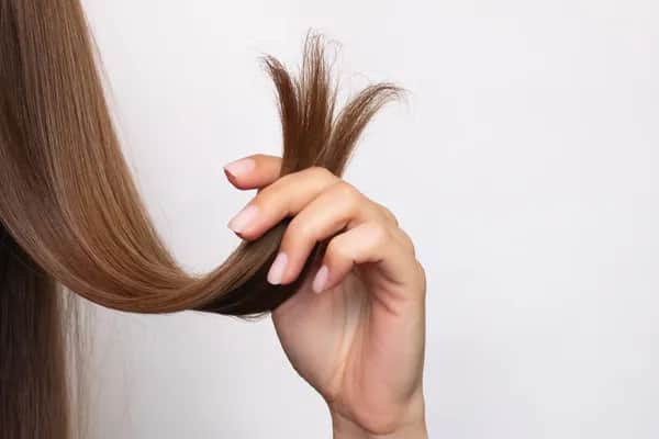 Haaranalyse Unverträglichkeiten Test - Intolerenzen, Schwermetallbelastung, Vitaminmangel erkennen