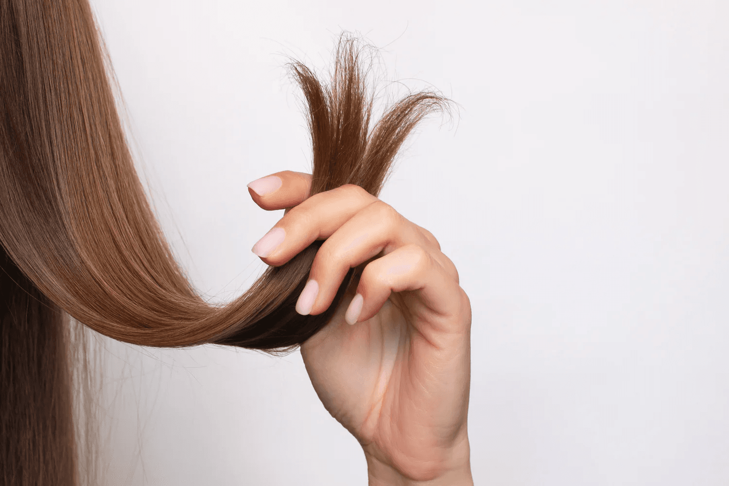 Haaranalyse Unverträglichkeiten Test - Intolerenzen, Schwermetallbelastung, Vitaminmangel erkennen